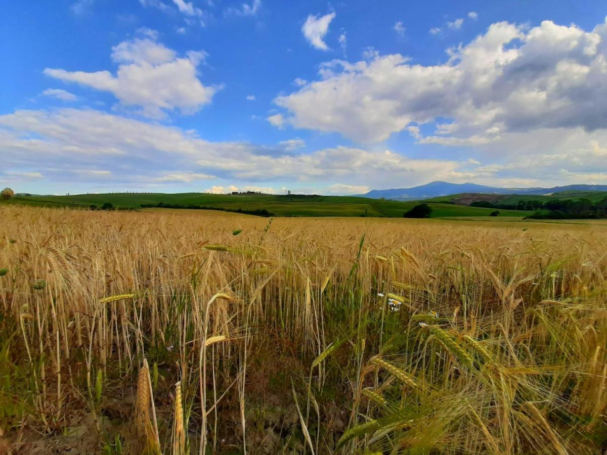 La Corte Antica Pienza Zewnętrze zdjęcie
