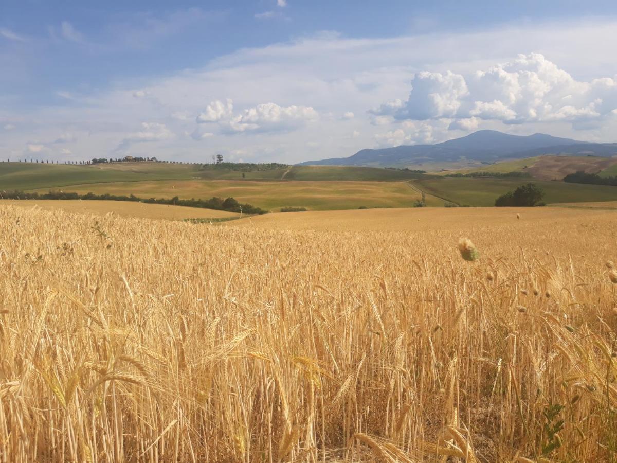La Corte Antica Pienza Zewnętrze zdjęcie